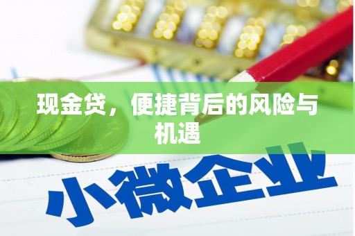 郫县现金贷，便捷背后的风险与机遇