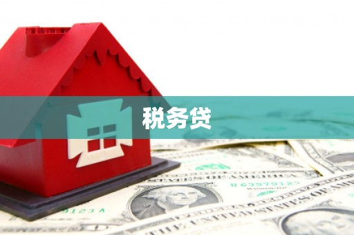 郫县税务贷