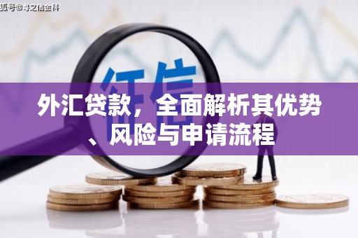 郫县外汇贷款，全面解析其优势、风险与申请流程