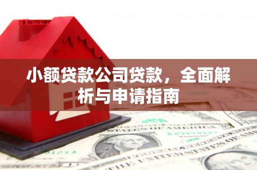 郫县小额贷款公司贷款，全面解析与申请指南