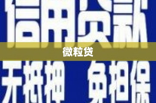 郫县微粒贷