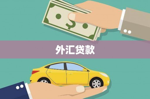 郫县外汇贷款
