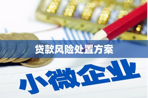 郫县贷款风险处置方案