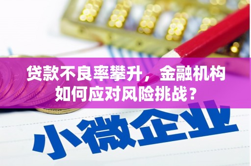 郫县贷款不良率攀升，金融机构如何应对风险挑战？