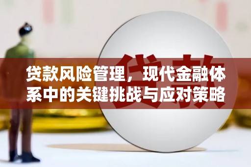 郫县贷款风险管理，现代金融体系中的关键挑战与应对策略