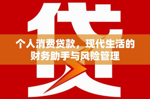 郫县个人消费贷款，现代生活的财务助手与风险管理