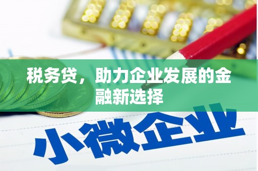 郫县税务贷，助力企业发展的金融新选择