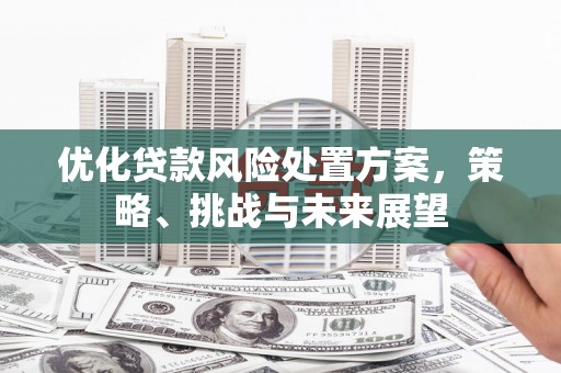 郫县优化贷款风险处置方案，策略、挑战与未来展望