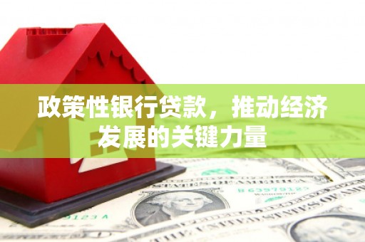 郫县政策性银行贷款，推动经济发展的关键力量