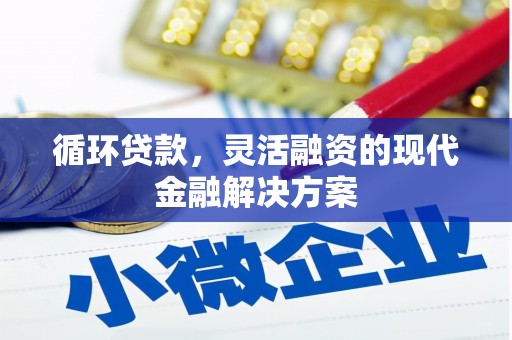 郫县循环贷款，灵活融资的现代金融解决方案