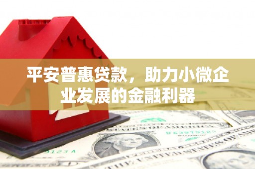 郫县平安普惠贷款，助力小微企业发展的金融利器