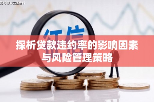 郫县探析贷款违约率的影响因素与风险管理策略