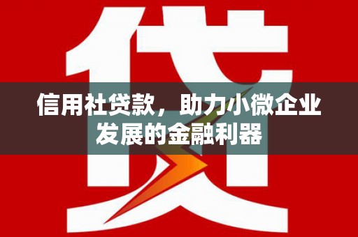 郫县信用社贷款，助力小微企业发展的金融利器
