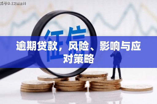 郫县逾期贷款，风险、影响与应对策略