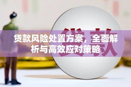 郫县贷款风险处置方案，全面解析与高效应对策略