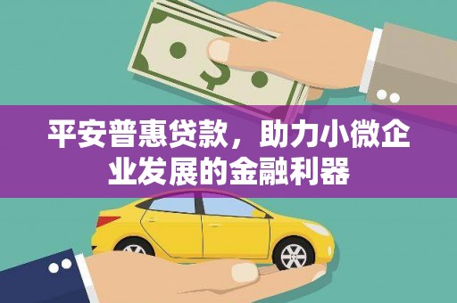 郫县平安普惠贷款，助力小微企业发展的金融利器