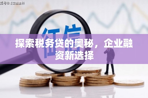 郫县探索税务贷的奥秘，企业融资新选择