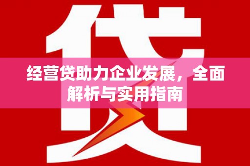 郫县经营贷助力企业发展，全面解析与实用指南