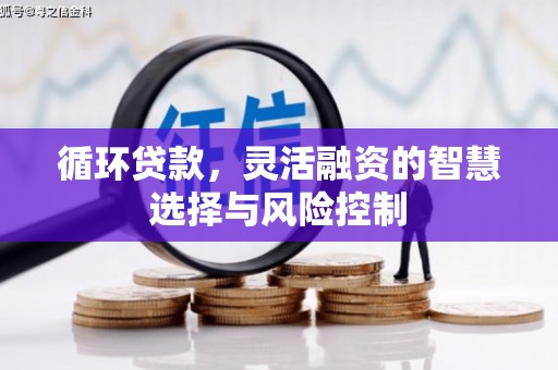 郫县循环贷款，灵活融资的智慧选择与风险控制