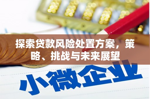 郫县探索贷款风险处置方案，策略、挑战与未来展望