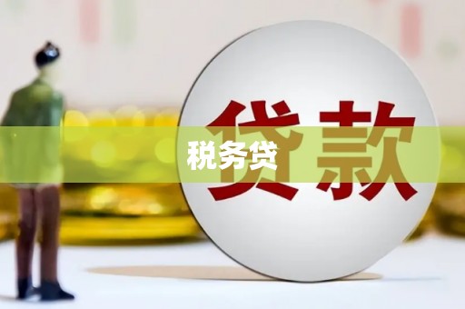 郫县税务贷
