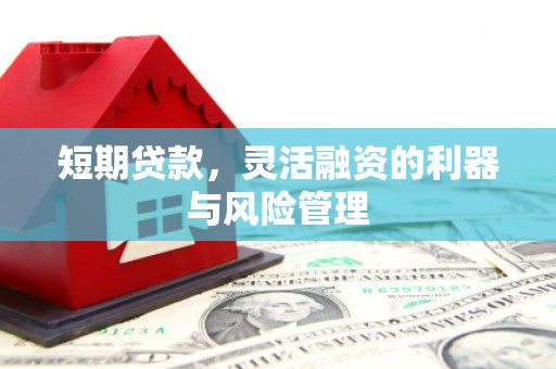 郫县短期贷款，灵活融资的利器与风险管理