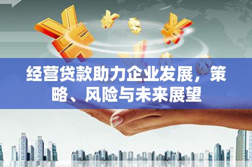 郫县经营贷款助力企业发展，策略、风险与未来展望