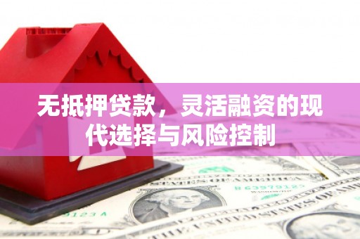 郫县无抵押贷款，灵活融资的现代选择与风险控制