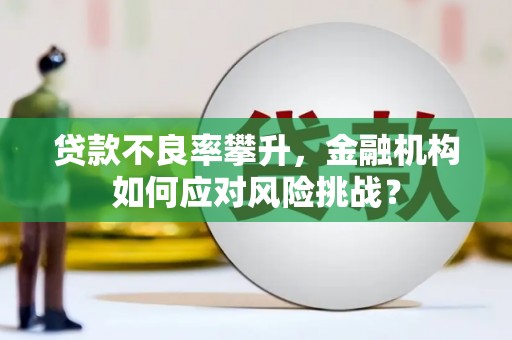 郫县贷款不良率攀升，金融机构如何应对风险挑战？