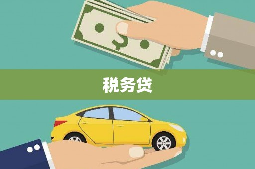 郫县税务贷