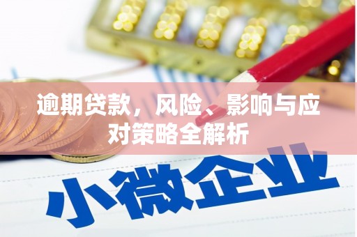 郫县逾期贷款，风险、影响与应对策略全解析