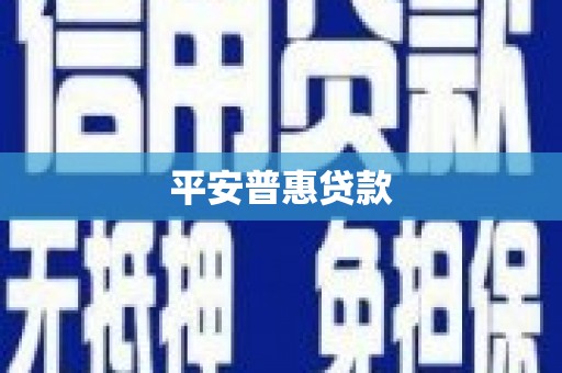 郫县平安普惠贷款