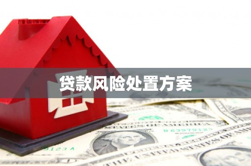 郫县贷款风险处置方案