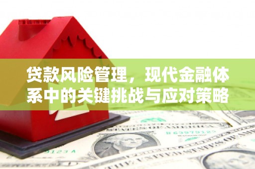 郫县贷款风险管理，现代金融体系中的关键挑战与应对策略