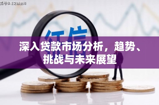 郫县深入贷款市场分析，趋势、挑战与未来展望