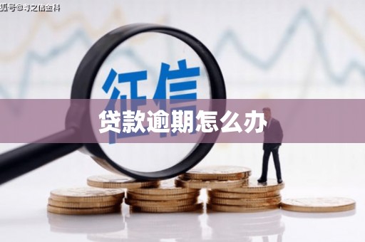 郫县贷款逾期怎么办