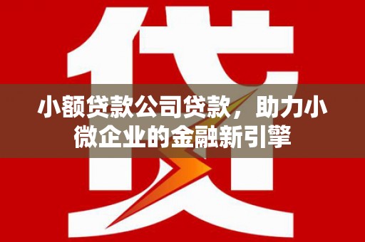 郫县小额贷款公司贷款，助力小微企业的金融新引擎