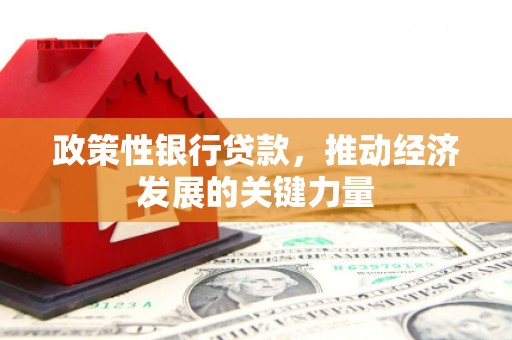 郫县政策性银行贷款，推动经济发展的关键力量