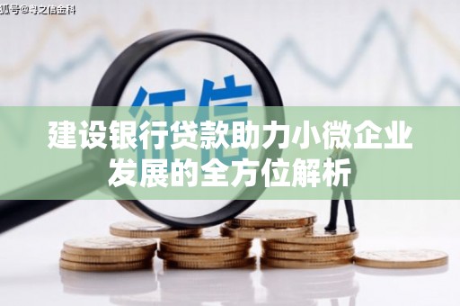 郫县建设银行贷款助力小微企业发展的全方位解析