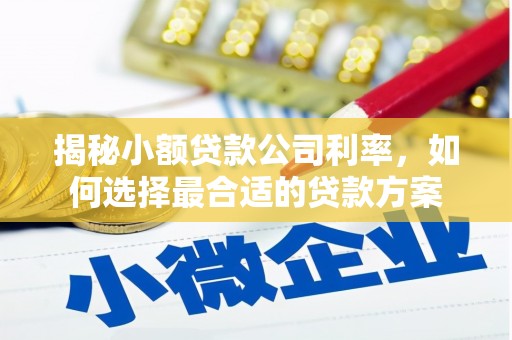 郫县揭秘小额贷款公司利率，如何选择最合适的贷款方案