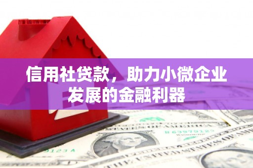 郫县信用社贷款，助力小微企业发展的金融利器