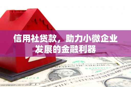 郫县信用社贷款，助力小微企业发展的金融利器