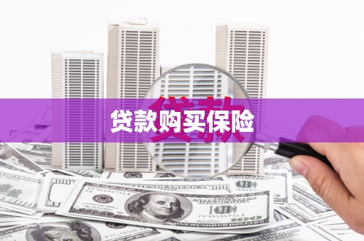 郫县贷款购买保险