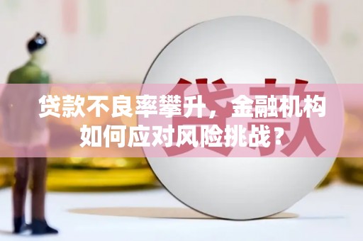 郫县贷款不良率攀升，金融机构如何应对风险挑战？