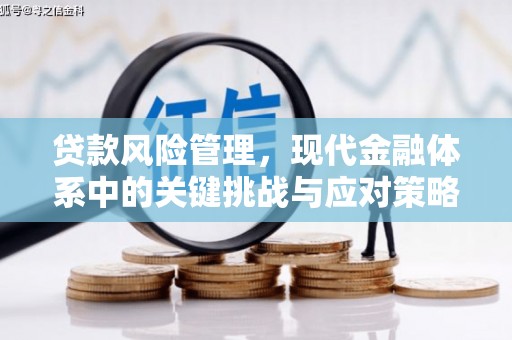 郫县贷款风险管理，现代金融体系中的关键挑战与应对策略