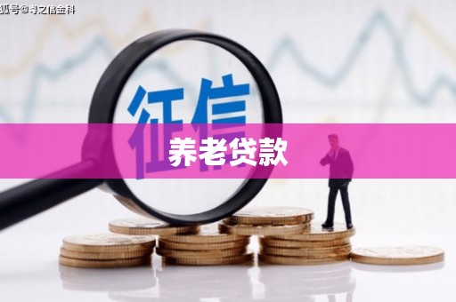 郫县养老贷款