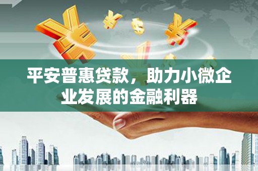 郫县平安普惠贷款，助力小微企业发展的金融利器