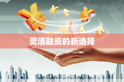 郫县灵活融资的新选择