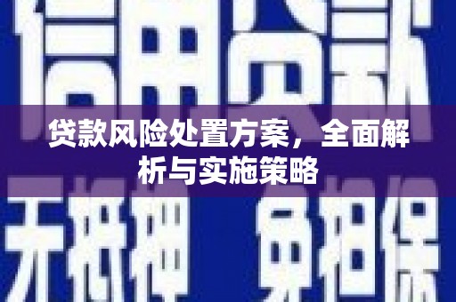 郫县贷款风险处置方案，全面解析与实施策略